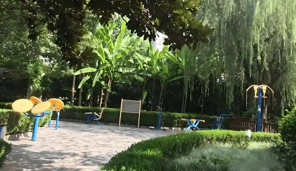 怎样得到深圳户口_记者：阿代米赛后在更衣室和大家说了很抱歉，他很难过 人都年轻整个感觉多了好